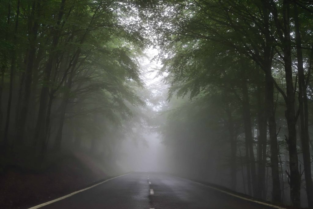 fog representing fears holding you back from achieving your goals
